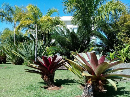 Imagem 11 de 30 de Casa Villa Solaia - Alphaville - Reduziu O Preço - Ca0204