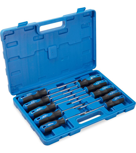 Juego De Destornilladores Torx De 10 Piezas, Punta Magnética