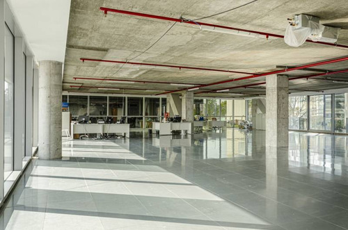 Imagen 9 de 14 de Oficinas Alquiler Puerto Madero