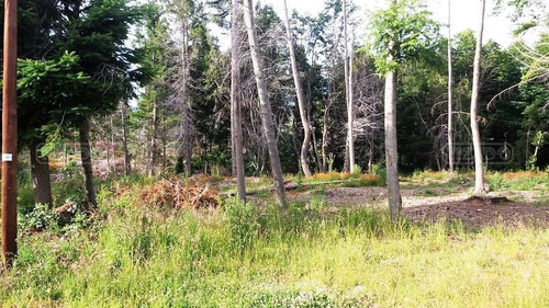 Imagen 7 de 9 de Terreno Lote En Venta Ubicado En Villa Campanario, Bariloche
