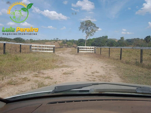 Imagem 3 de 15 de Fazenda À Venda Em São Valério - To - De 223 Alqueirões (pecuária) - 1821