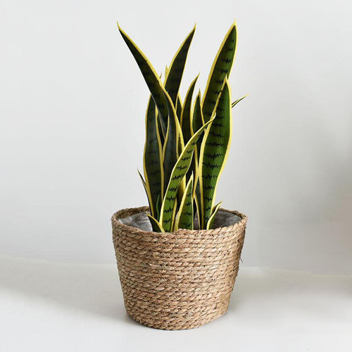 Qmx 2 Cesta De Macetas De Seagrass Tejida Con Estilo Para