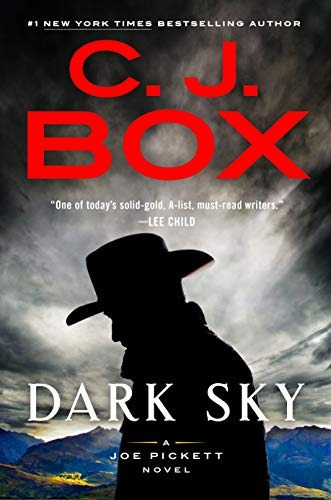 Dark Sky (una Novela De Joe Pickett)