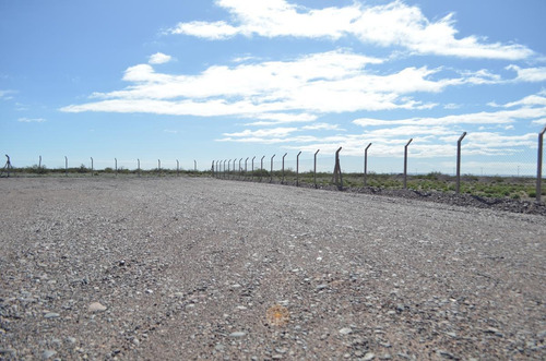 Imagen 4 de 6 de Lote 4053 M2 En Añelo, Vaca Muerta