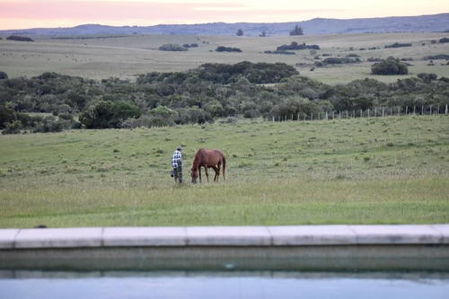 Imagen 15 de 18 de Espectacular Casa De Campo, A 20 Mins De Jose Ignacio. (ref: Bon-2416)