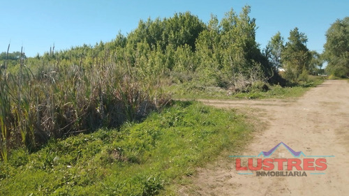 Imagen 7 de 7 de Lote Irregular En Venta La Costa Mar Del Tuyu