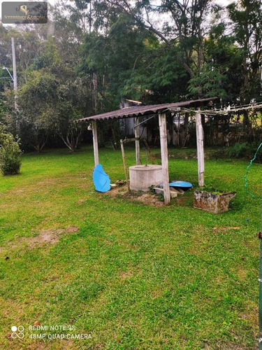Imagem 5 de 18 de Chácara 6.500 M² - Vila Moraes Em Mogi Das Cruzes - Sp