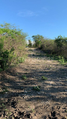 Habitacional Renta Predio Rústico Xacamixtlaco Higuerón Jojutla, Morelos