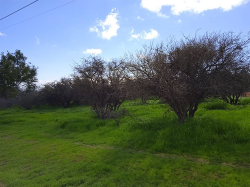 Sitio Super En Venta En Limache