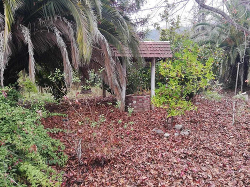 Imagen 6 de 8 de Parcela De Agrado Con Piscina, Chépica