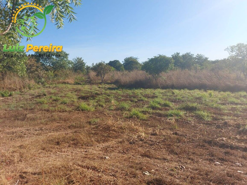 Imagem 7 de 11 de Fazenda À Venda No Vale Do Araguaia - To - 711,48 Hectares (dupla Aptidão) - 1982