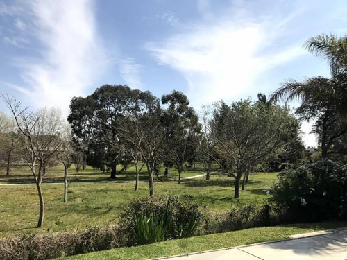 Imagen 12 de 30 de Lindísima Casa Al Bosque - En Venta - Castores Nordelta - Bajó De Precio!