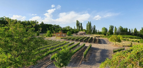 Imagen 19 de 30 de Cabaña Del Alto Tupungato Valle De Uco Mendoza Casa De Campo