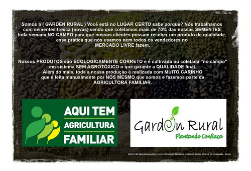 Sementes De Carrapicho De Carneiro Acanthospermum Hispidum