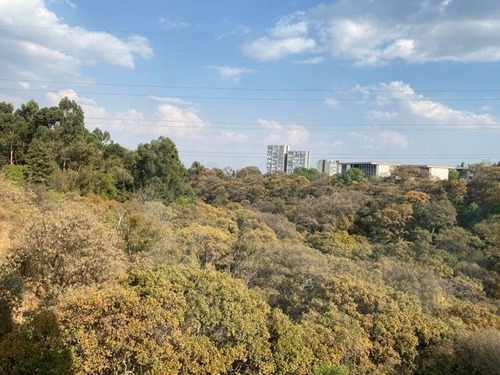 Imagen 15 de 15 de Venta Departamento Inmerso En Bosque