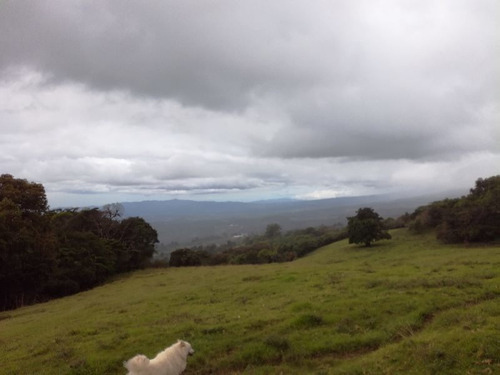 Imagen 5 de 9 de Finca En El Roble/santa Barbara, 18.7 Hectareas