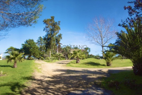 Imagen 4 de 30 de Chacra Importante En R. 39 Con 700 M2. Construidos - Maldonado Ruta 39