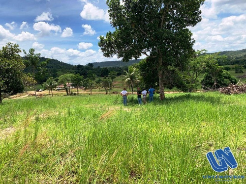 Imagem 9 de 12 de Fazenda Com 83 Tarefas Em Catu - Bahia - Afd069 - 70759118