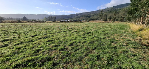 Terrenos Desde Los 5.000mts2 En Cañete