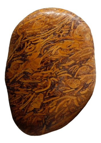 Pedra Natural Jaspe Marian Marrom Rolada Energética 15g 4cm