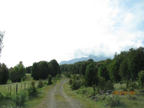 Fundo Calbuco (73972)