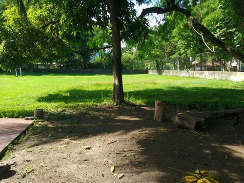Imagem 5 de 14 de Terreno - Lri1135 - 32804973