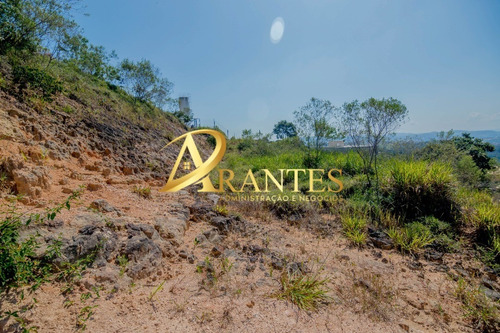 Imagem 8 de 16 de Terreno - Te00080 - 70830168