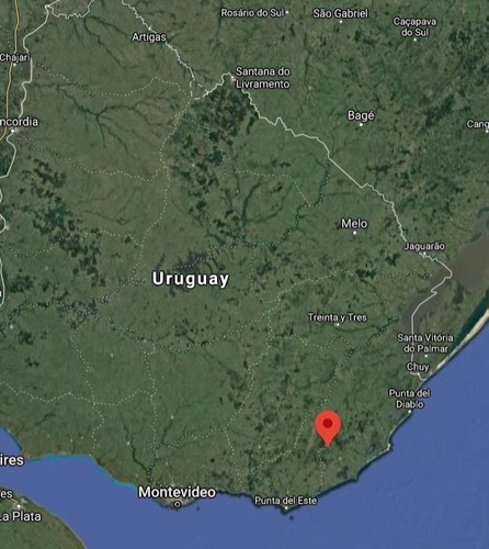 Venta De Campo Forestal - Ganadero En Rocha / Maldonado