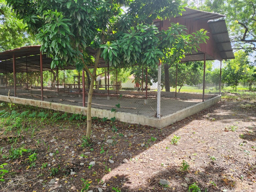Granja Avicola Ventas La Ciénaga