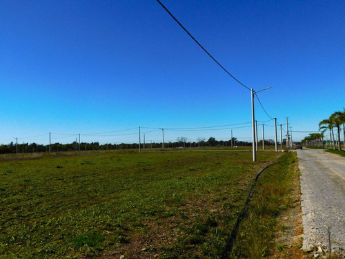 Venta Lote En El Lazo En Exaltacion De La Cruz