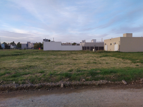 Terreno En Barrio Molina Campos 17x35.5