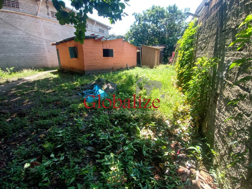 Imagem 11 de 16 de Terreno - Te00005 - 70482597