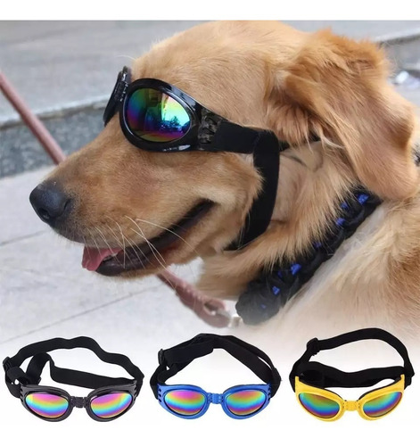 Gafas Para Perros Plegables Prote - Unidad a $28954
