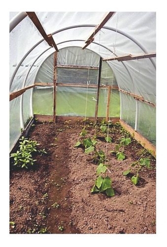 Imagen 5 de 7 de Nylon Invernaculo Agropecuario Uv - Ancho 4,20 Mts. Promo