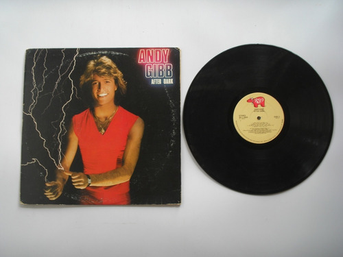 Lp Vinilo Anddy Gibb After Dark Printed  Usa 1980