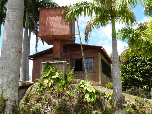 Casa Tipo Finca Urbana