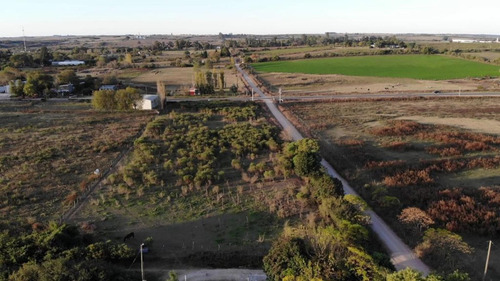 Imagen 2 de 7 de Terrenos En Venta En Victoria Entre Rios