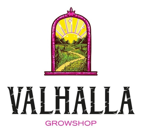 Semillas De Eneldo Sobre De 1gr Valhalla Grow Shop