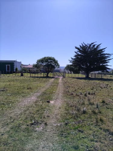 Campo De 397 Has - Maldonado, Aiguá