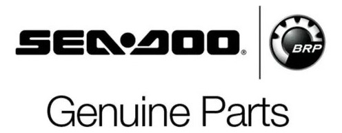 Equipo Audio Premium Seadoo ( Gti / Gtr / Rxp / Wake )