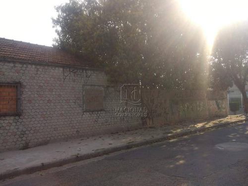 Terreno Residencial À Venda, Parque Das Nações, Santo André. - Te0816