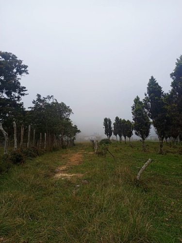 Finca En Venta Aldea La Montaña-lobatera/im
