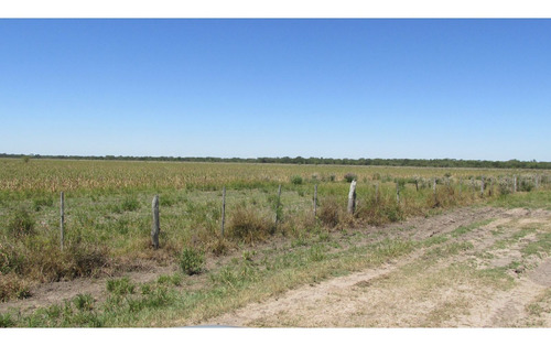 Imagen 8 de 30 de Campo Ganadero 3220 Ha - ( 420 Agrícolas ) Reconquista - Prov. De Santa Fe