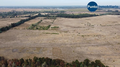 Imagen 8 de 10 de Campo Agrícola