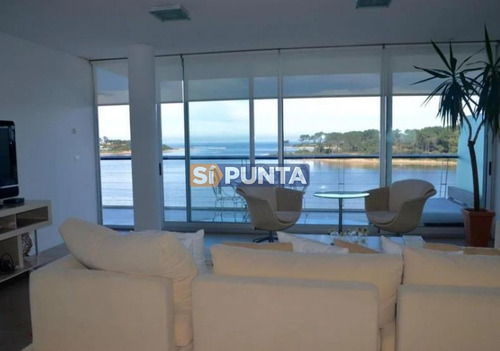 Imagen 3 de 16 de Apartamento De 3 Dormitorios Y Dependencia En Alquiler - La Barra