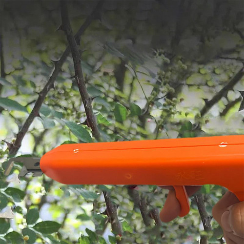 Tijeras Para Pimientos, Herramientas De Cosecha, Podadora