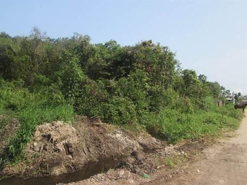Imagem 3 de 4 de Terreno - Venda - Sao Pedro - Itanhaem - Ita2151