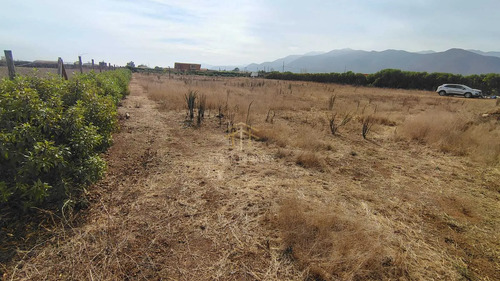 Parcela 6000 M2 Cercana A Ruta 43, Coquimbo (175018)