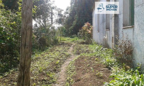 Chácara A Venda No Bairro Distrito Vila Nova Em Pelotas - - 1356-1