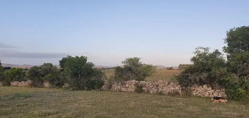 Campo De 35 Hectareas Sobre Ruta 12